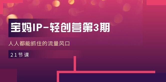 宝妈IP-轻创营第3期，人人都能抓住的流量风口(21节课-男爵娱创[知识付费]