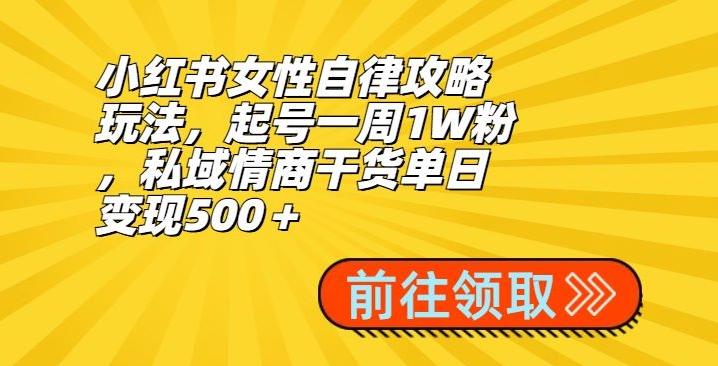 小红书女性自律攻略玩法，起号一周1W粉，私域情商干货单日变现500＋-男爵娱创[知识付费]