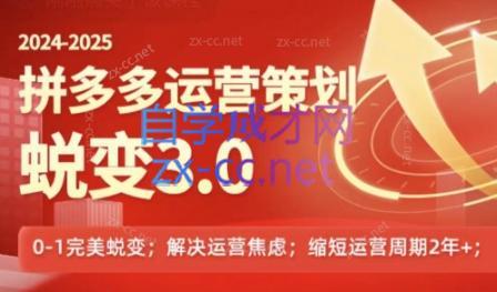 大力老师·2024拼多多运营策略蜕变3.0-男爵娱创[知识付费]