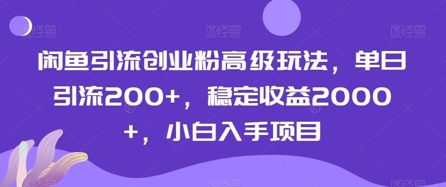 闲鱼引流创业粉高级玩法，单日引流200+，稳定收益2000+，小白入手项目-男爵娱创[知识付费]