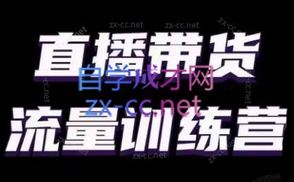 婉婉·直播带货课程系列合集(更新8月)-男爵娱创[知识付费]