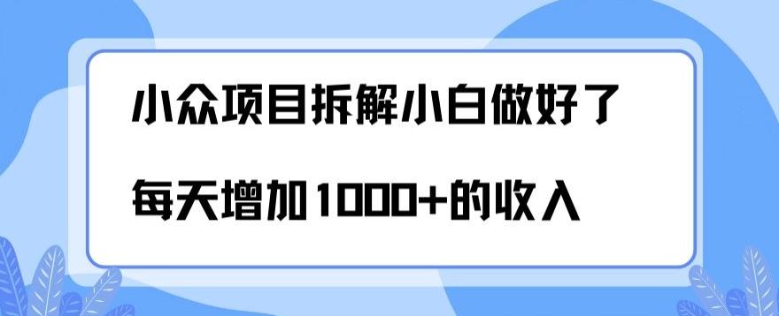 小众项目拆解，小白做好了每天可增加1000多的收入-男爵娱创[知识付费]