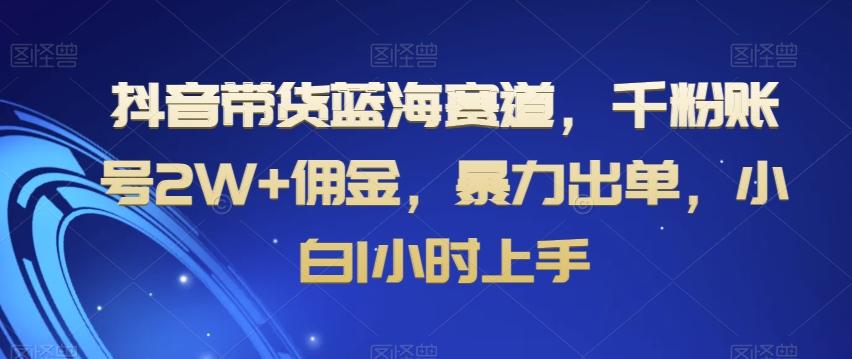 抖音带货蓝海赛道，千粉账号2W+佣金，暴力出单，小白1小时上手【揭秘】-男爵娱创[知识付费]