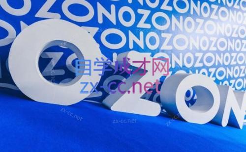 森哥·出海俄罗斯电商实操(2024)-男爵娱创[知识付费]