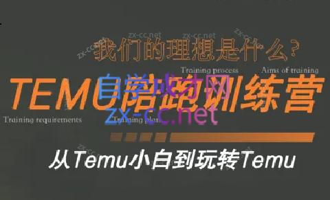 苗苗·拼多多跨境（temu）课程-男爵娱创[知识付费]