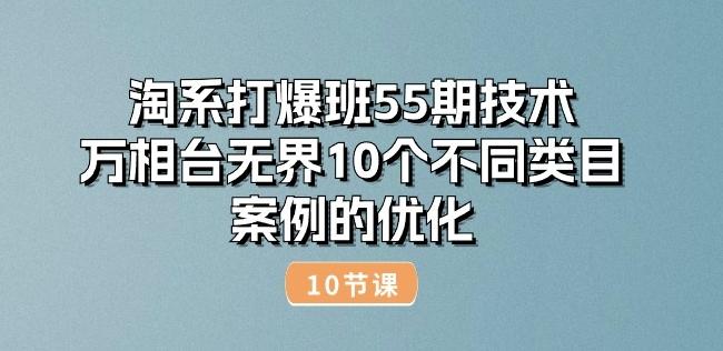 淘系打爆班55期技术：万相台无界10个不同类目案例的优化(10节)-男爵娱创[知识付费]