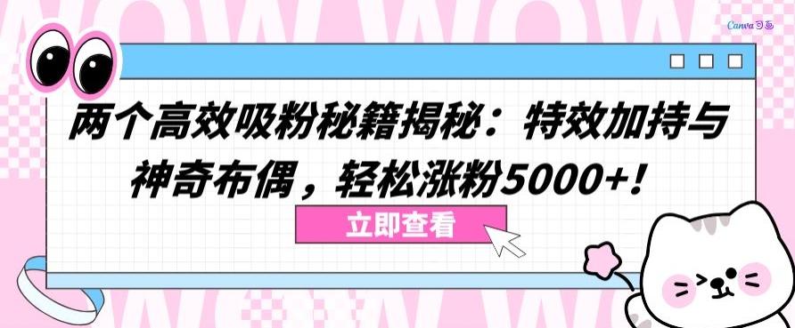 两个高效吸粉秘籍揭秘：特效加持与神奇布偶，轻松涨粉5000+【揭秘】-男爵娱创[知识付费]