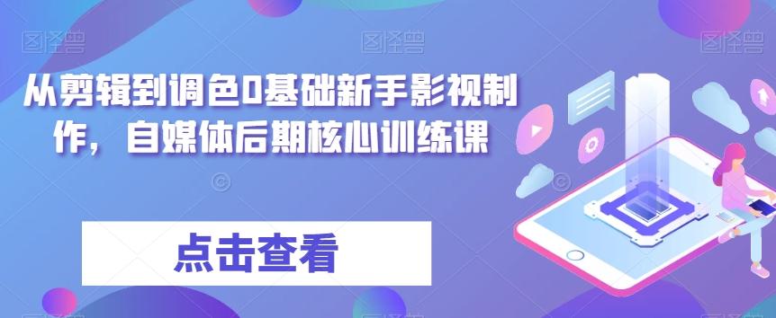 从剪辑到调色0基础新手影视制作，自媒体后期核心训练课-男爵娱创[知识付费]