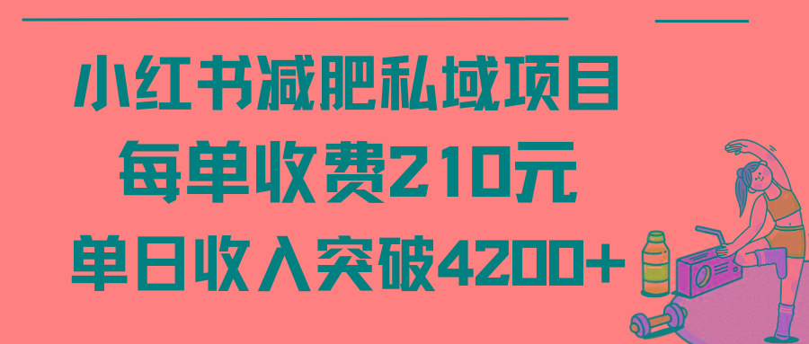 (9466期)小红书减肥私域项目每单收费210元单日成交20单，最高日入4200+-男爵娱创[知识付费]