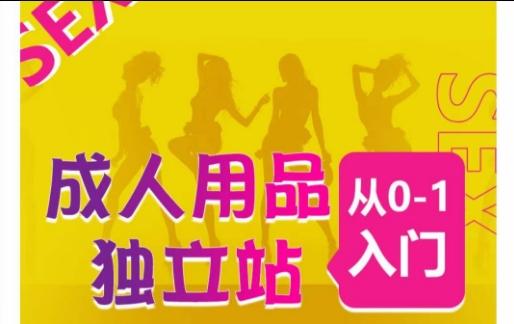 成人用品独立站从0-1入门，成品独立站运营全流程教学，七大好卖成品独立站推荐-男爵娱创[知识付费]