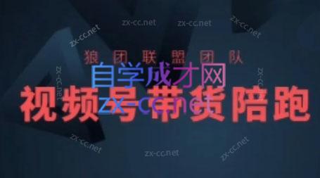 狼团联盟·2024视频号带货-男爵娱创[知识付费]