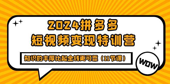 (9817期)2024拼多多短视频变现特训营，知识的丰厚比起金钱更可靠(11节课)-男爵娱创[知识付费]