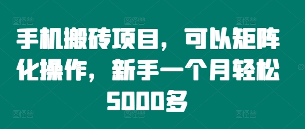手机搬砖项目，可以矩阵化操作，新手一个月轻松5000多-男爵娱创[知识付费]