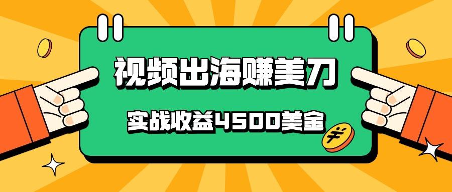 国内爆款视频出海赚美刀，实战收益4500美金，批量无脑搬运，无需经验直接上手-男爵娱创[知识付费]