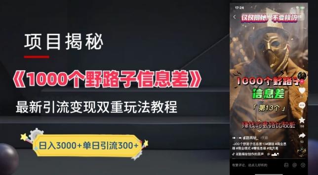 一千个野路子信息差最新玩法教程-变现+引流的玩法具体拆解【揭秘】-男爵娱创[知识付费]