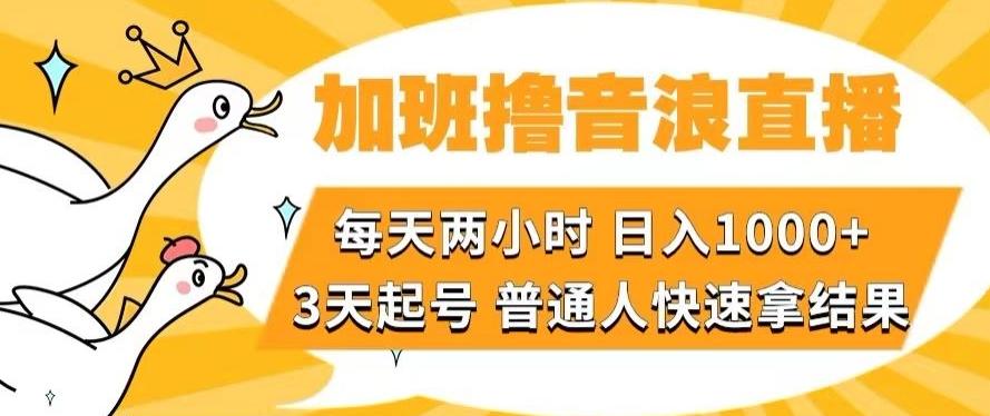 加班撸音浪直播，每天两小时，日入1000+，直播话术才3句，3天起号，普通人快速拿结果【揭秘】-男爵娱创[知识付费]