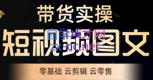 鑫哥·2024零基础短视频带货实操营-男爵娱创[知识付费]