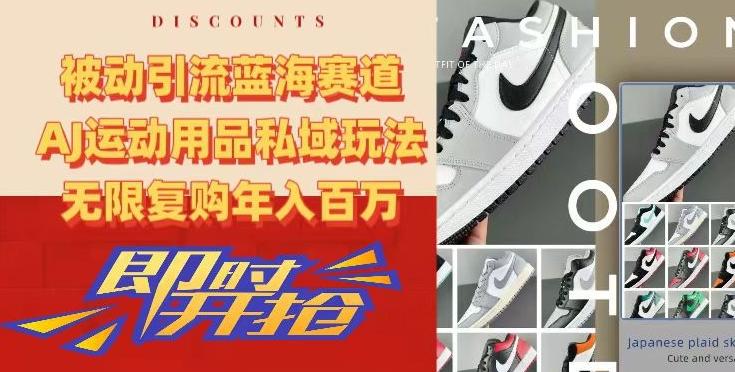 被动引流蓝海赛道，AJ运动用品私域玩法，无限复购年入百万【揭秘】-男爵娱创[知识付费]