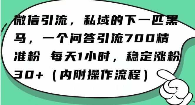 怎么搞精准创业粉？微信新赛道，每天一小时，利用Ai一个问答日引100精准粉-男爵娱创[知识付费]