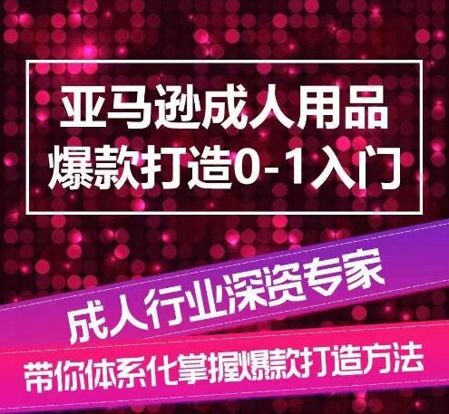 亚马逊成人用品爆款打造0-1入门，系统化讲解亚马逊成人用品爆款打造的流程-男爵娱创[知识付费]
