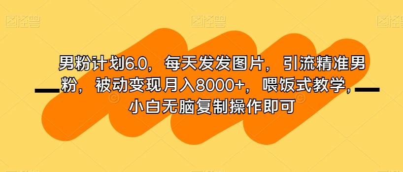 男粉计划6.0，每天发发图片，引流精准男粉，被动变现月入8000+，喂饭式教学，小白无脑复制操作即可-男爵娱创[知识付费]