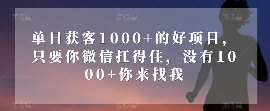 单日获客1000+的好项目，只要你微信扛得住，没有1000+你来找我【揭秘】-男爵娱创[知识付费]