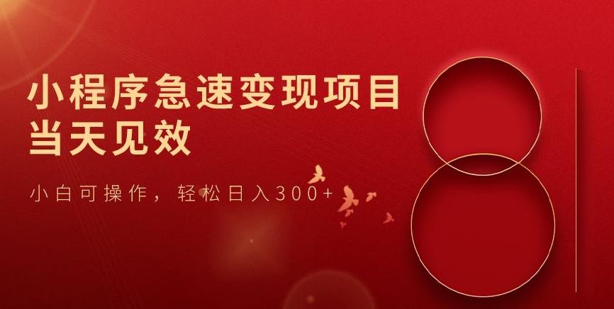 小程序急速变现项目，当天见效，小白可操作，轻松日入300+-男爵娱创[知识付费]