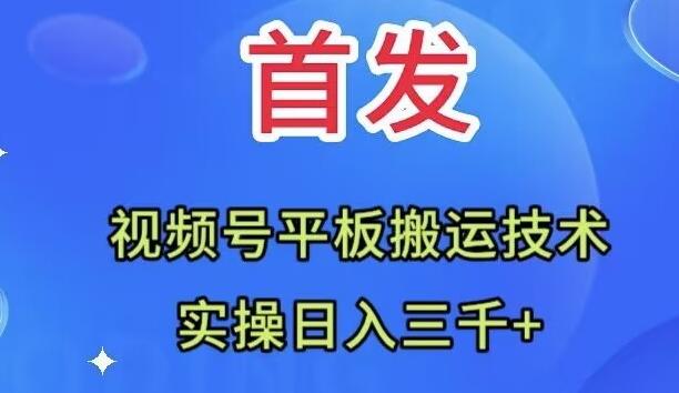 全网首发：视频号平板搬运技术，实操日入三千＋-男爵娱创[知识付费]