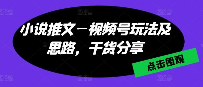 小说推文—视频号玩法及思路，干货分享-男爵娱创[知识付费]