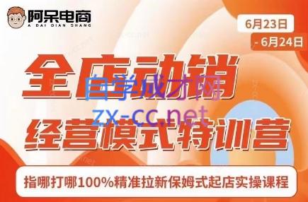 阿呆电商·全店动销经营模式特训营(线下录音+思维导图)-男爵娱创[知识付费]