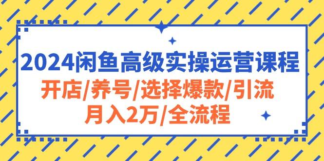 2024闲鱼高级实操运营课程：开店/养号/选择爆款/引流/月入2万/全流程-男爵娱创[知识付费]