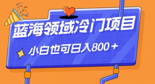 蓝海领域冷门赛道，一单39.9，日入800＋-男爵娱创[知识付费]