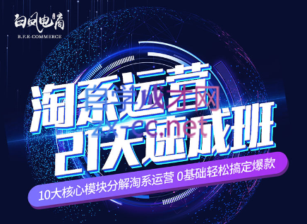 淘系运营21天速成班(更新7月)-男爵娱创[知识付费]