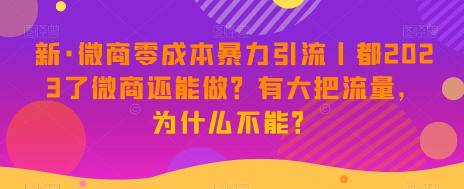新·微商零成本暴力引流丨都2023了微商还能做？有大把流量，为什么不能？-男爵娱创[知识付费]