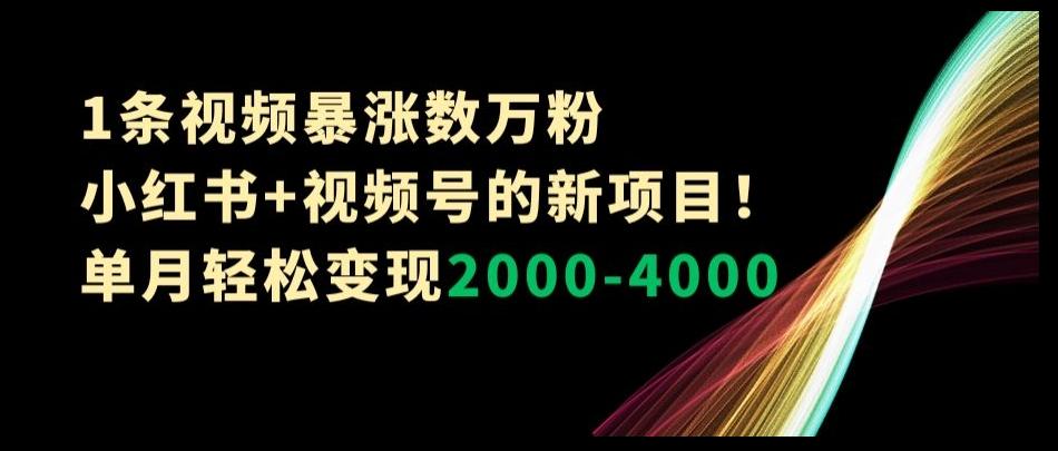 1条视频暴涨数万粉–小红书+视频号的新项目！单月轻松变现2000-4000【揭秘】-男爵娱创[知识付费]