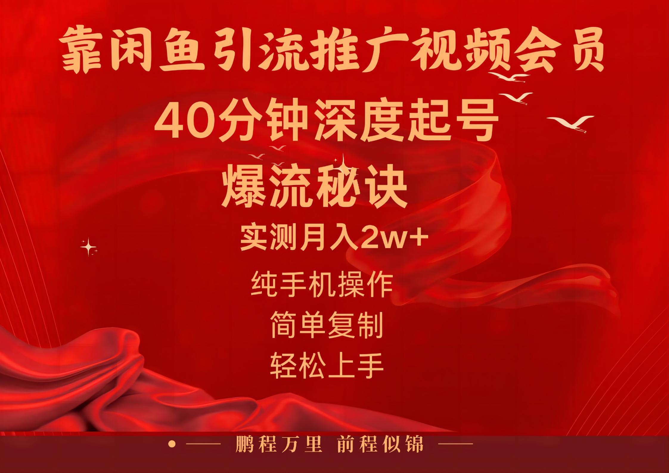 闲鱼暴力引流推广视频会员，能做到日入2W+，操作简单-男爵娱创[知识付费]