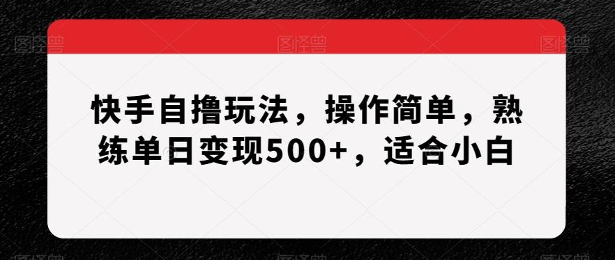 快手自撸玩法，操作简单，熟练单日变现500+，适合小白【揭秘】-男爵娱创[知识付费]