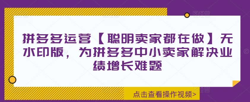 拼多多运营【聪明卖家都在做】无水印版，为拼多多中小卖家解决业绩增长难题-男爵娱创[知识付费]