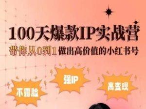 小红书100天爆款IP实战营，带你从0到1做出高价值的小红书号-男爵娱创[知识付费]