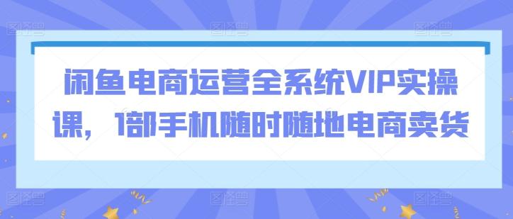 闲鱼电商运营全系统VIP实操课，1部手机随时随地电商卖货-男爵娱创[知识付费]