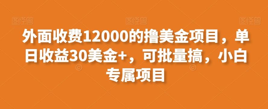 外面收费12000的撸美金项目，单日收益30美金+，可批量搞，小白专属项目-男爵娱创[知识付费]