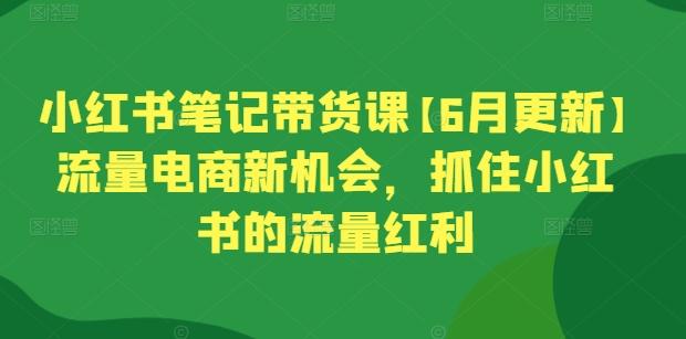 小红书笔记带货课【6月更新】流量电商新机会，抓住小红书的流量红利-男爵娱创[知识付费]