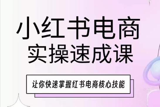小红书电商实操速成课，让你快速掌握红书电商核心技能-男爵娱创[知识付费]