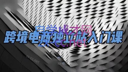 团长·跨境电商独立站入门课(2小时精华)-男爵娱创[知识付费]