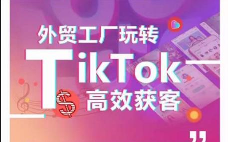 外贸工厂玩转TikTok高效获客，多种引流方式与账号定位技巧，拆解爆款短视频打造成功案例-男爵娱创[知识付费]