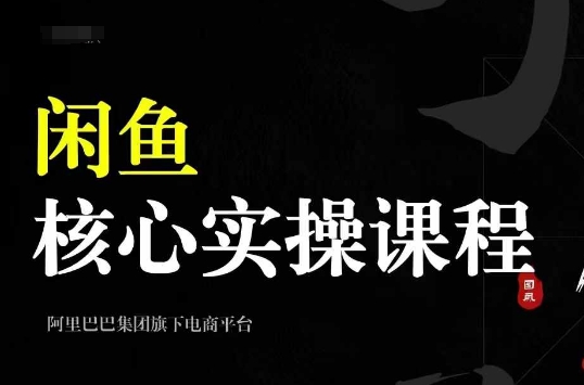 2024闲鱼核心实操课程，从养号、选品、发布、销售，教你做一个出单的闲鱼号-男爵娱创[知识付费]