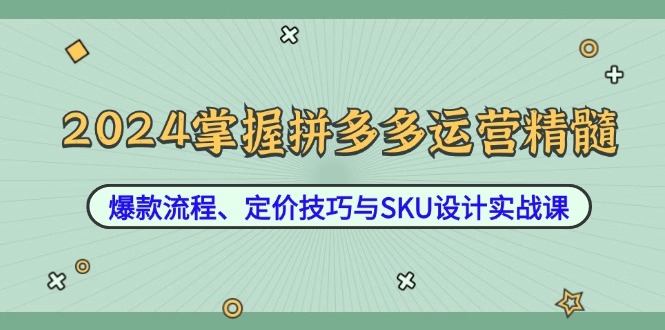 2024掌握拼多多运营精髓：爆款流程、定价技巧与SKU设计实战课-男爵娱创[知识付费]
