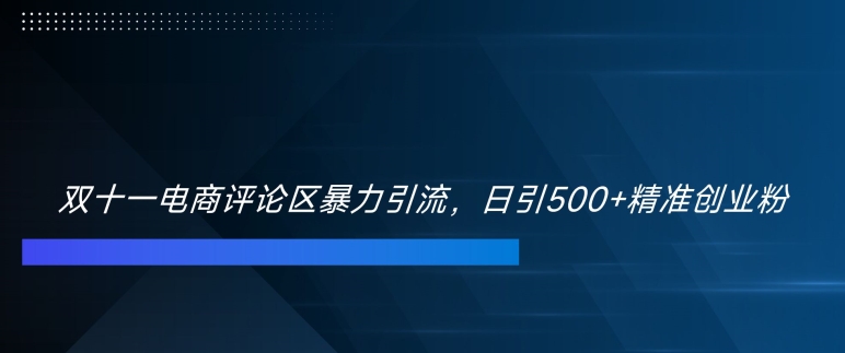 双十一电商评论区暴力引流，日引500+精准创业粉【揭秘】-男爵娱创[知识付费]
