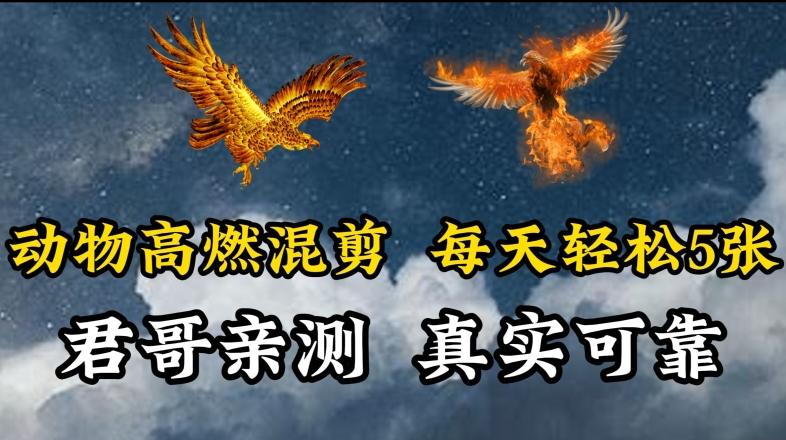 动物超燃混剪，每天轻松5张，剪辑简单大家爱看【揭秘】-男爵娱创[知识付费]