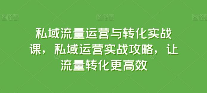 私域流量运营与转化实战课，私域运营实战攻略，让流量转化更高效-男爵娱创[知识付费]